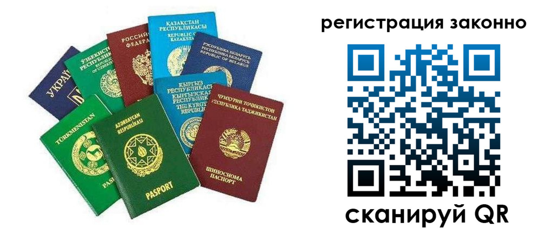 прописка 2025 в Жукове